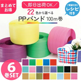色が選べる PPバンド 6巻セット 15mmx100m 大巻 かごバッグ 手芸用テープ 信越工業 プラバッグ 日本製 クラフト手芸