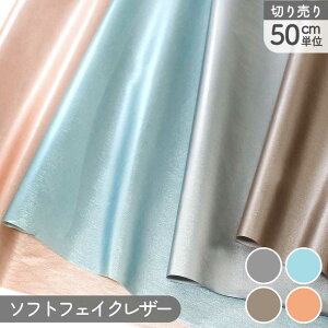 \tgtFCNU[ ^bNJ[ Ж96cm (50cmPʂ̐؂蔄) U[ 