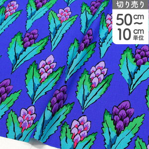 �A�����n ���n �C���|�[�g �t��҂q���V���X �u���[�n FreeSpirit �t���[�X�s���b�g Kaffe Fassett -�P�C�t�E�t�@�Z�b�g- USA�v�����g �Œ�P��50cm�`10cm�P�ʂ̐ؔ����n