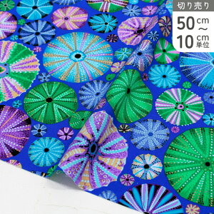 �A�����n USA�v�����g���n �u���[�n �J���t���h�b�g �T�[�N���A�[�g USA�v�����g���n Kaffe Fassett �P�C�t�E�t�@�Z�b�g FreeSpirit �t���[�X�s���b�g �Ж�110cm �Œ�P��50cm�`10cm�P�ʂ̐ؔ�