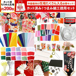 ���� 2026�N ��| �܂ݍ׍H��e�ʃZ�b�g �a���A�N�Z �n���h���C�h �a���� �a �A�N�Z ������ �w�A�A�A�N�Z ���� ���� �w�A