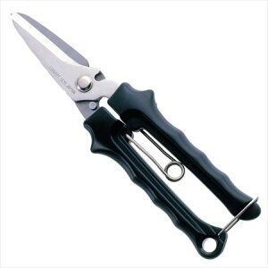 ͂ uJnv Ntg͂ A[X[ n[hXjbv | y