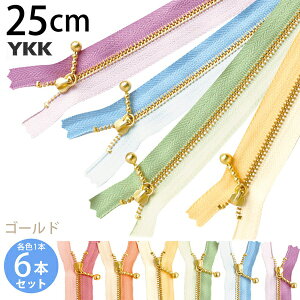 YKK ʕtt@Xi[ 25cm S[h (eF1{ v6{) Rr ʕtt@Xi[ t@Xi[ Wbp[ |[` obO TRbV |VFbg `bN t@Xi[ y