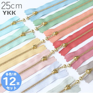 YKK ʕtt@Xi[ 25cm S[h (eF1{ v12{)  pXe AbV ʕtt@Xi[ t@Xi[ Wbp[ |[` obO TRbV |VFbg `bN t@Xi[ y