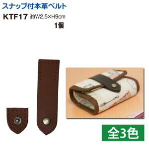 Xibvt{ xg 9cm J[hP[X~