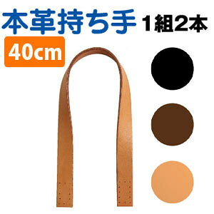 {v  40cm 2{1g y HJ[ I[^