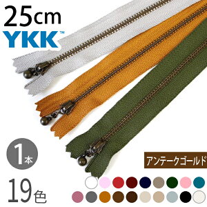 YKK ʕtt@Xi[ 25cm CuV AeB[NS[h(1{) ʕtt@Xi[ t@Xi[ Wbp[ |[` obO TRbV |VFbg `bN t@Xi[ y