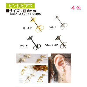 stsAX 6mm 5g sAX CO p[OsAX  I fB[X sAX p[ 킢 lۂ