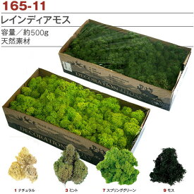 【お徳用500g】 レインディアモス 500g 苔 こけ ガーデニング フラワーアレンジ ジオラマ 草原 芝 壁面緑化 グリーンウォール グリーンモス 素材 花材 花資材 樹木 草 枯れない　造花