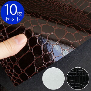 (p10) {NX XLo ebNX XJCo[ebNX NR (50x68cm) ̂鎆̐{@@@Jgi[W@XLo