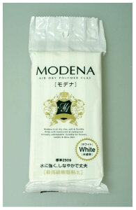 �S�y �����S�y ���f�i 250g PADICO �p�W�R �˂��