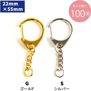 �����^�b�`�L�[�z���_�[ �S��5.5cm (�����p100��)