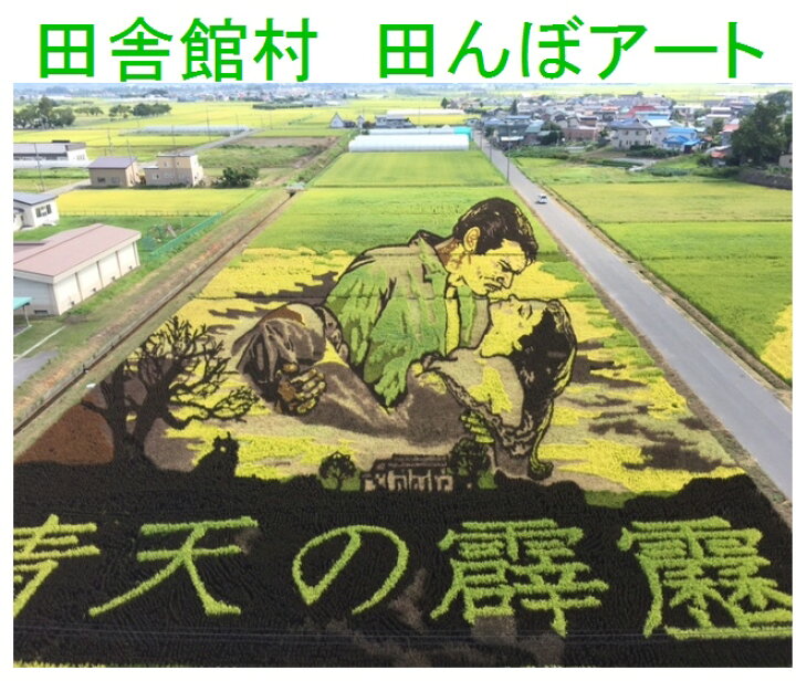 楽天市場】青森県田舎館村産青天の霹靂（減農薬）令和6年産新米1等米 