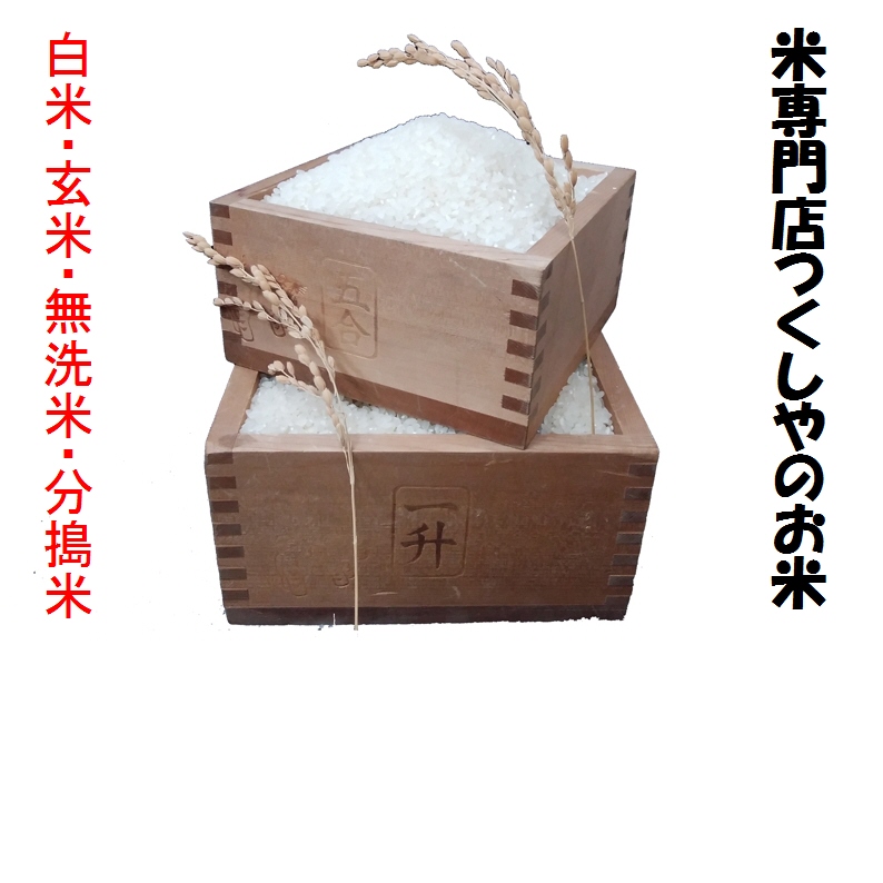 秋田県鹿角産淡雪こまち令和3年産1等米　10kg