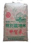 滋賀県甲賀産キヌヒカリ（減農薬）（近江米）令和5年産1等米25kg玄米
