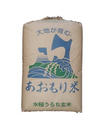 【売切りセール！】青森県田舎館村産青天の霹靂（減農薬）令和7年産1等米25kg玄米