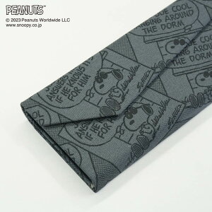 メガネケース PEANUTS ピーナッツ(ジョー・クール)グレー ブランド キャラクター折りたたみ マルチ 持ち運び 携帯 お祝い 誕生日 プレゼント ギフト かわいい おしゃれ 高級感