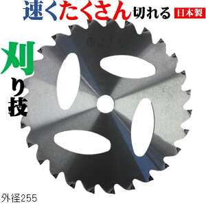 yBۋzZ { `bv\[ 230mm×25P 255mm×27P n n @ ֐n  ǂ؂n nȂ ΂Ȃ i  ϋv v  ėp KтȂ 