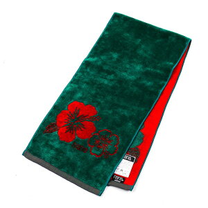 y݁z^I@lii@Óii@NANA@tFCX^I n[t@nCrXJX@O[AJ@nn-fth35-N