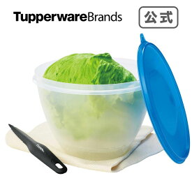 【公式】タッパーウェア　レタスキーパー＆コアラー　食品保存容器