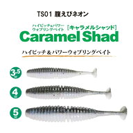 一誠 ISSEI キャラメルシャッド 2.6in 3.5in 4in 5in バスワーム ワーム バス