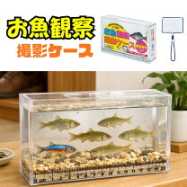 楽天市場】メダカ 撮影の通販