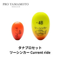 山元ウキ タナプロセット 19Y ツーシンカーカレントライド　 カラー/レモンまたはオレンジ