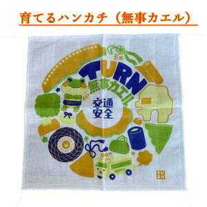 ޗǌYᒠnyJGY@ĂnJ`z100@Ă@JG@ʈS@^[@IWi@͂񂩂