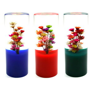 ē Sn 悢 BW  Vtgmu }`^Cv ėp  a lW GNXeV A_v^[ mt MA ~bV o[ Vtg }jA O `FW MA  K 