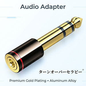���S�̓��{��� 3.5mm���X�X�e���I�~�j�v���O-6.35mm�I�X�X�e���I�W���v���O�ϊ��A�_�v�^ �����b�L aux011725 �~�L�T�[�ϊ��p 1�� ZABB 2026BB-TOJPZBB