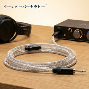 4.4 mm 3.5 mm �ϊ� 3.5 mm 4.4 mm �ϊ� 4.4mm �o�����X �P�[�u�� 4.4mm �I�X 3.5mm ���X 4.4 m m 5 �� 3.5mm 3 �� �� �� 3.5 to 4.4 adapter ���� �R�[�h NW-WM1A NW-WM1Z N W-ZX300 TA-ZH1ES PHA-2A�ɑΉ� (Silver) ZBD