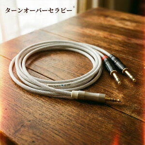 White Barrel II 4.4 to TRS 80cm 4.4mm->TRS x 2 �o�����X�ϊ��P�[�u�� ZBD