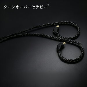 T3 2Pin ���P�[�u�� 0.75mm 6�c �C���z�������p�P�[�u�� TRN KZ AS06 ZS10 ZST ZSTX���Ή� �}�C�N�Ȃ� ZCF 2026CF-TOJPZCF