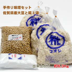 手作り味噌セット　愛媛県産大豆　生麹　麹歩合17　出来上がり約6.3Kg［冷蔵便］