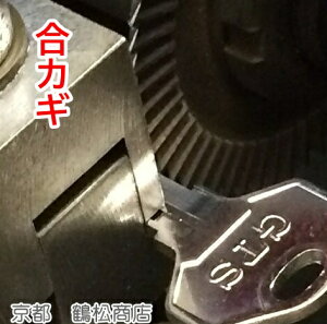 @(fBvL[s)V_[@O@싞@グ̂ql