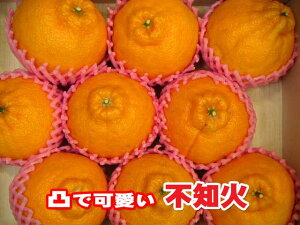 y\tiz[Y{茧]yÁzsm(ʂ)yz7`9ʉϔB