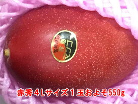 《販売発送中》宮崎産完熟マンゴー【赤秀】4Lサイズ1玉およそ530g化粧箱入り。ギフト商品