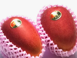 y菤izyzyYnz{Yn}S[yGz2LTCY2ʂ悻 750gBϔByyMt_zyyMt_̂zMtgi@{}S[