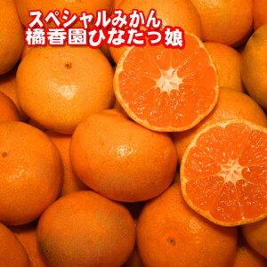 y\tiz[Y{茧]kЂȂyÁzXyV݂yԏGzMʂ悻5kg