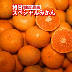 y\tiz[Y{茧]z̎(悤̂)yÁzXyV}`݂yԏGzSʂ悻60肨悻5kgB