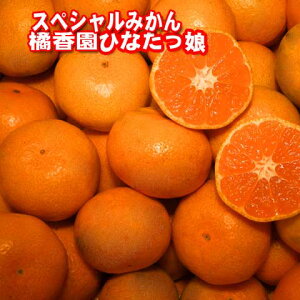 y\tiz[Y{茧]kЂȂ݂yÁzXyV}`݂yԏGzSʂ悻5kgB