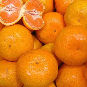 y\tizy菤iz[Y{茧]k()ЂȂXyV݂ԏG2Lʂ悻5kg