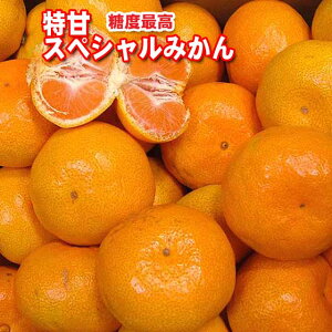 y\tiz[Y{茧]z̎(悤̂)yÁzXyV}`݂Lʂ悻40B悻5kg