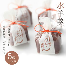 あす楽 13時まで 【期間限定】京都 鶴屋光信 母の日 お返し お花見 和菓子 ギフト 　詰合せ 水ようかん5個入 ようかん 北海道産小豆使用 高級 お取り寄せ 詰合せ 内祝 御祝 御供 手土産 お菓子 贈り物 セット