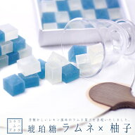 夏 涼菓 お祝い 誕生日 手土産 ギフト 父の日 お中元 国産原材料使用 京都の美味しい琥珀糖 宝石 ラムネ…