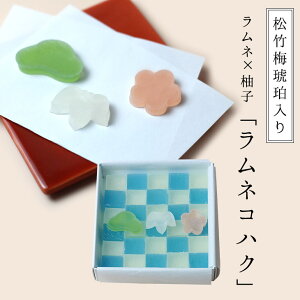 Ԍ |~ߓ ߓ lYRnN l×Mq 30荂 񂹁@a j j 䋟 @  yY َq 蕨 Zbg Mtg