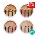 ティーフィット 【箱カットあり】カバーアッププロ コンシーラー COVER UP PRO CONCEALER 15g tfit コンシーラー パレ…