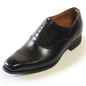 V[NbgV[Y }hX  vC g[V[Y wȂC Y 5cm rWlXV[Y C amC gAbv {v q[AbvV[Y YC tallshoes V[Nbg