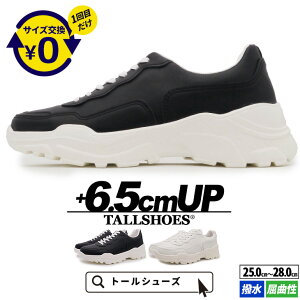 V[NbgV[Y Y Xj[J[ 6.5cmUP  g[V[Y TALLSHOES  y Ȑ ʋC ubN zCg gAbv wȂC JWA Xj[J[ lC v[