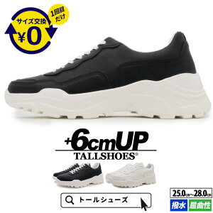 V[NbgV[Y Y Xj[J[ 6cmUP  g[V[Y TALLSHOES  y Ȑ ʋC ubN zCg gAbv wȂC JWA Xj[J[ lC v[